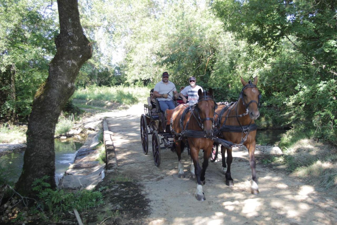 Le Mas De La Coste Saint-Sauveur-de-Cruzière Exteriör bild